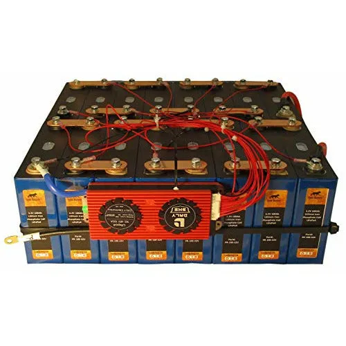 48V 100Ah Lithium Iron Phosphate (LiFePO4) Battery with 100A BMS