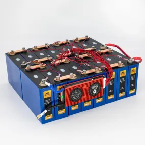 48V 100Ah Lithium Iron Phosphate (LiFePO4) Battery with 100A BMS