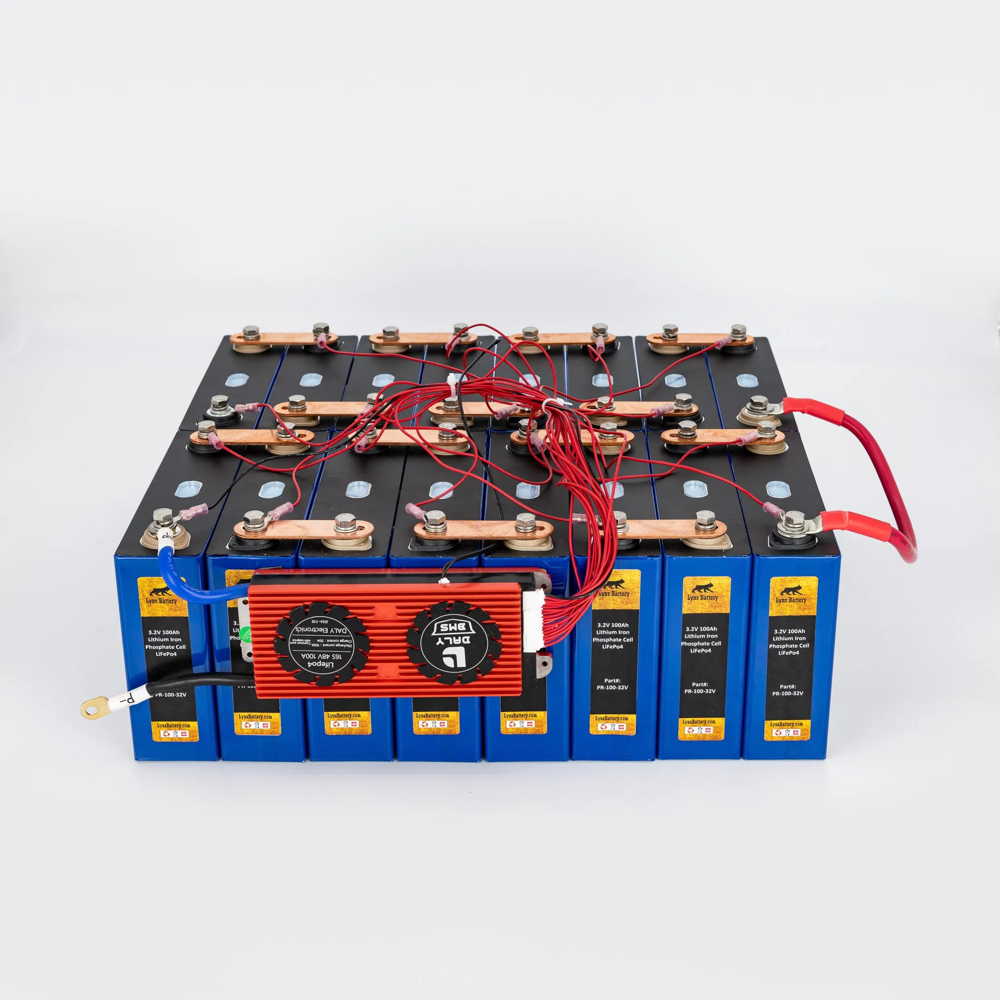 48V 100Ah Lithium Iron Phosphate (LiFePO4) Battery with 100A BMS