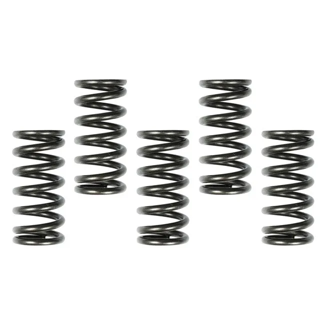 Apico Racing Clutch Kit - Kawasaki