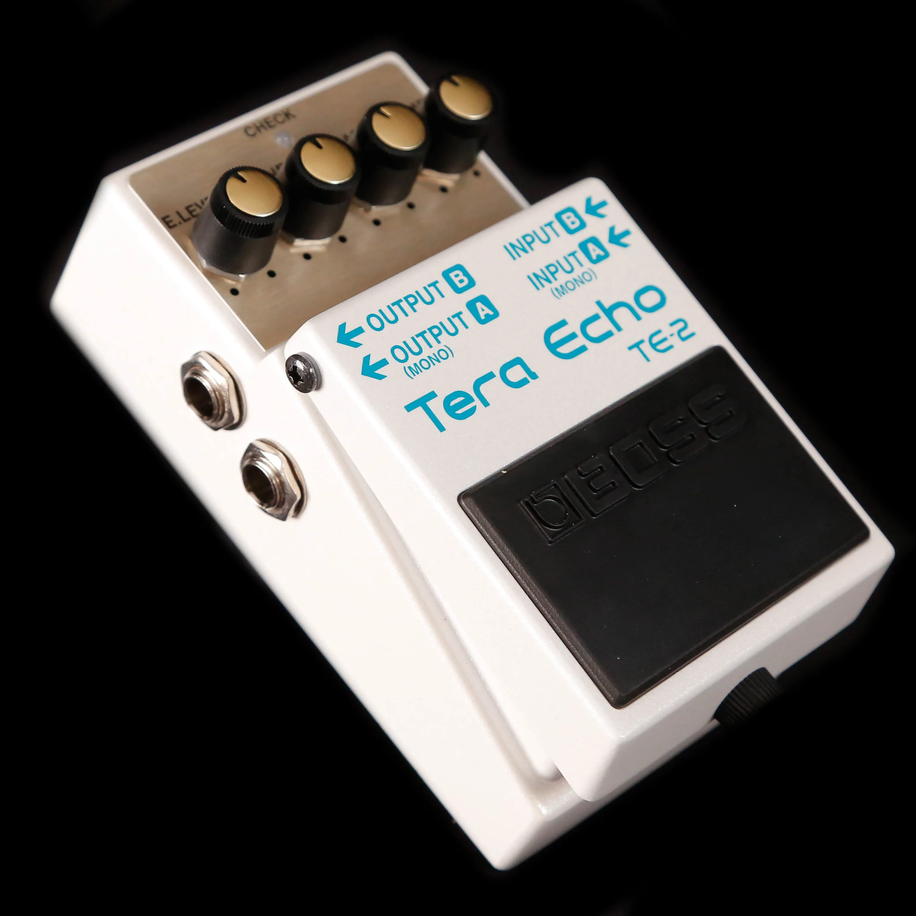 Boss TE2 Tera Echo