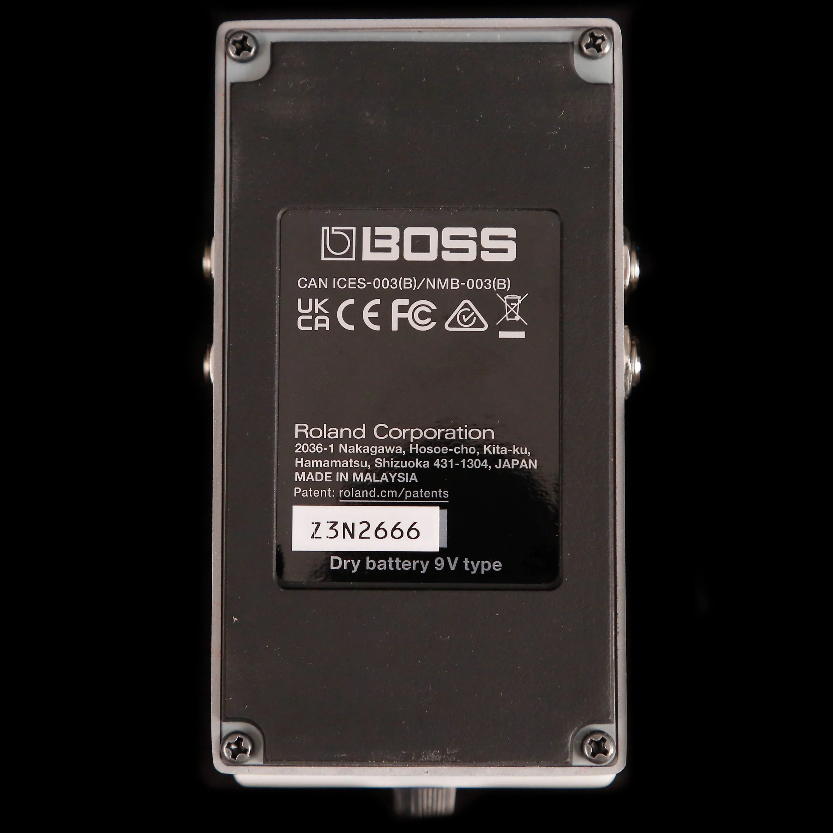 Boss TE2 Tera Echo