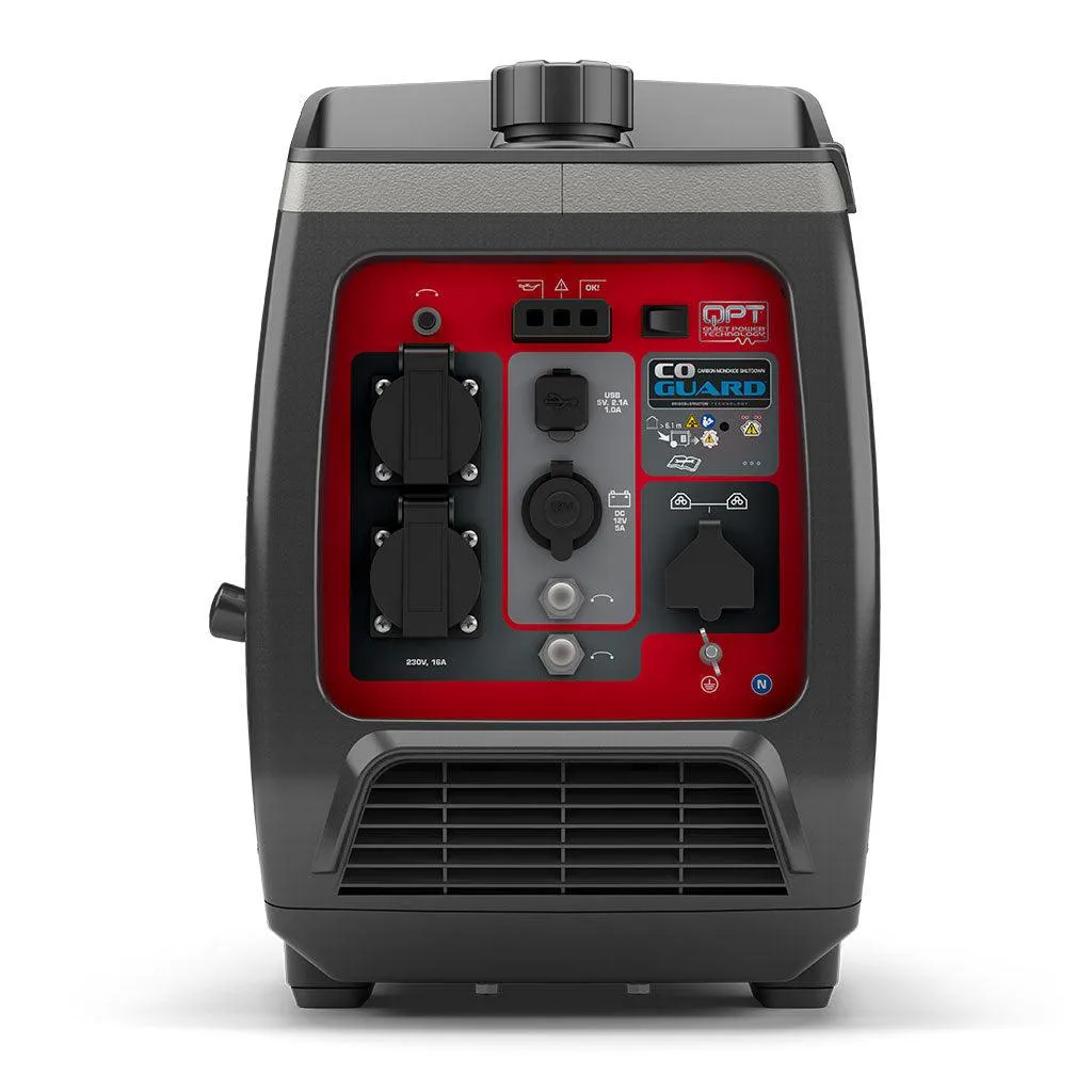 Briggs and Stratton