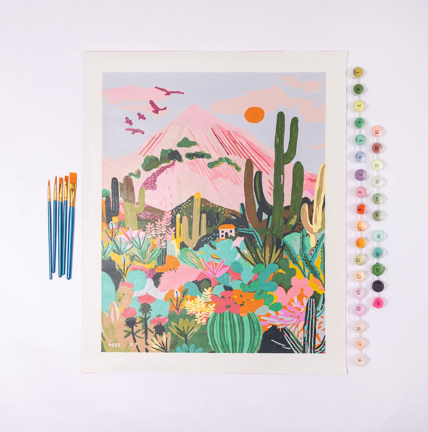 Cactus Desert Paint by Numbers Deluxe