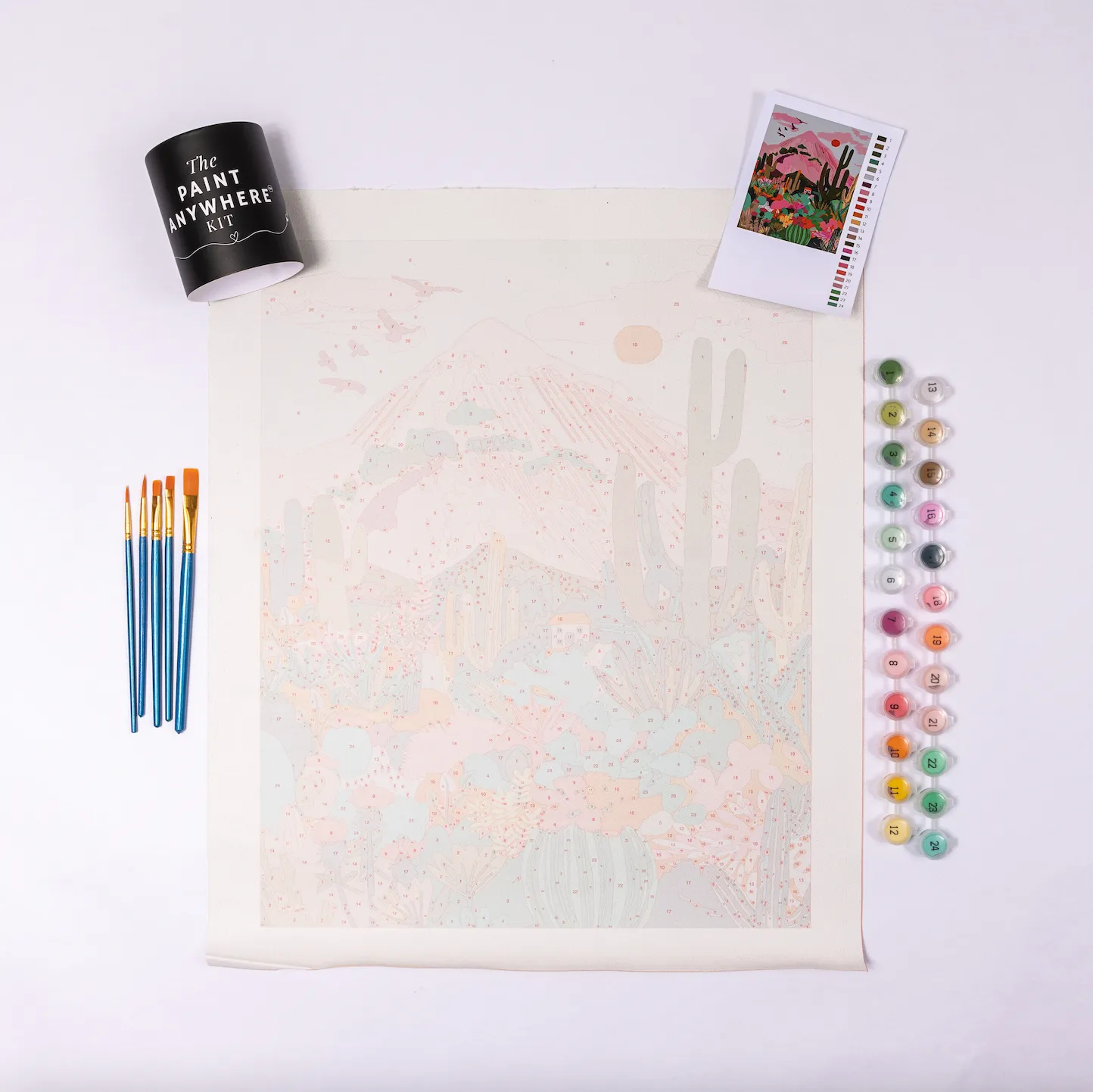 Cactus Desert Paint by Numbers Deluxe