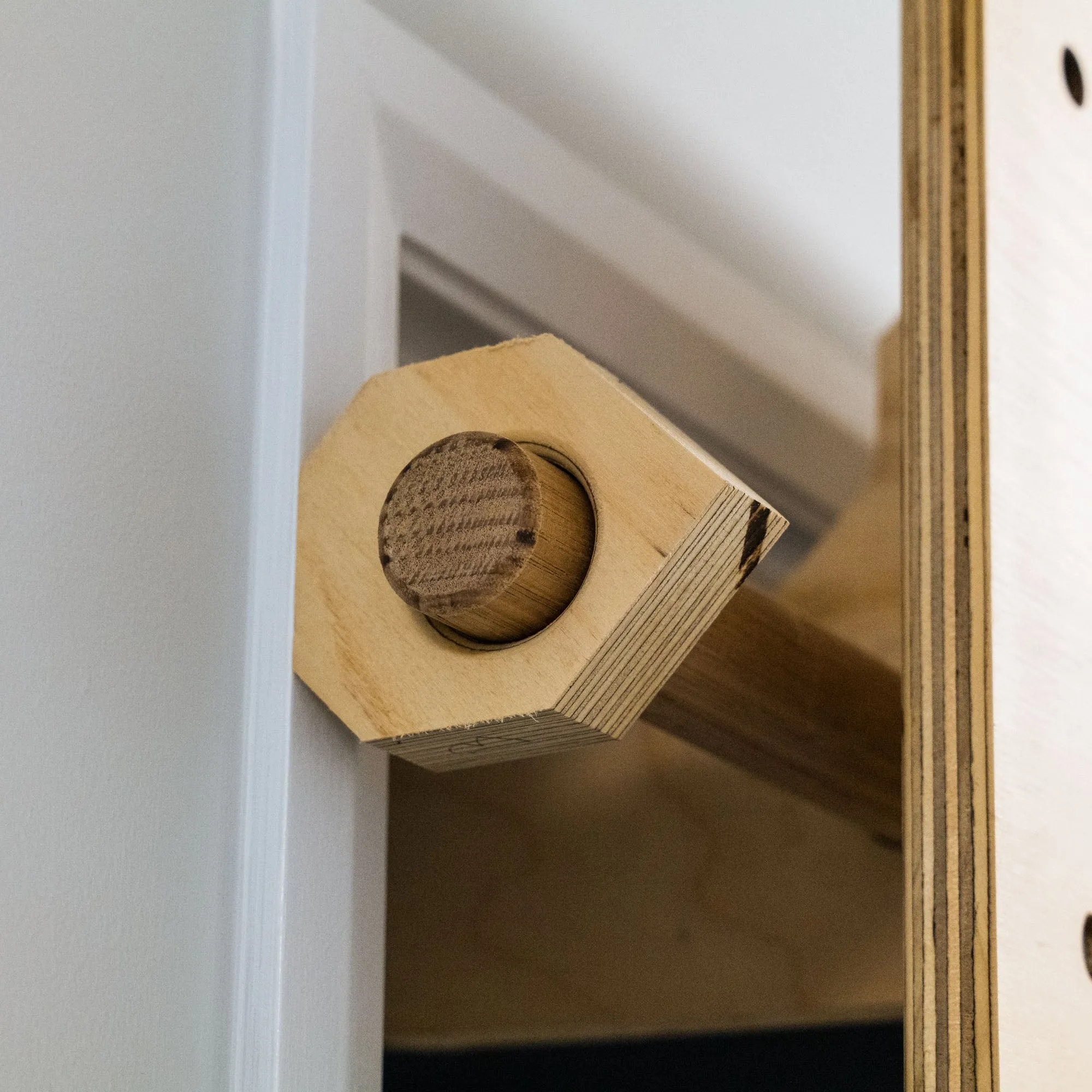 Door Jamb - Portable home training system
