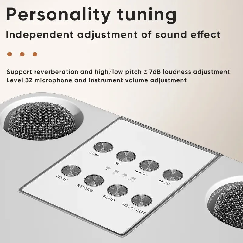 Dual Microphone Karaoke Machine for Adults and Kids Portable Bluetooth PA Speaker System with 2 Wireless Microphones for Home
