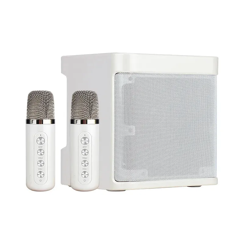 Dual Microphone Karaoke Machine for Adults and Kids Portable Bluetooth PA Speaker System with 2 Wireless Microphones for Home