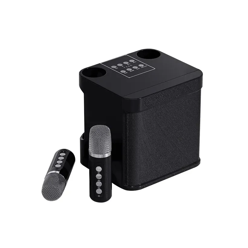 Dual Microphone Karaoke Machine for Adults and Kids Portable Bluetooth PA Speaker System with 2 Wireless Microphones for Home