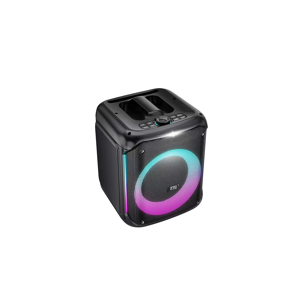 FTS 8'' Ingoma High Power Party Speaker with TWS(FTS-2108)