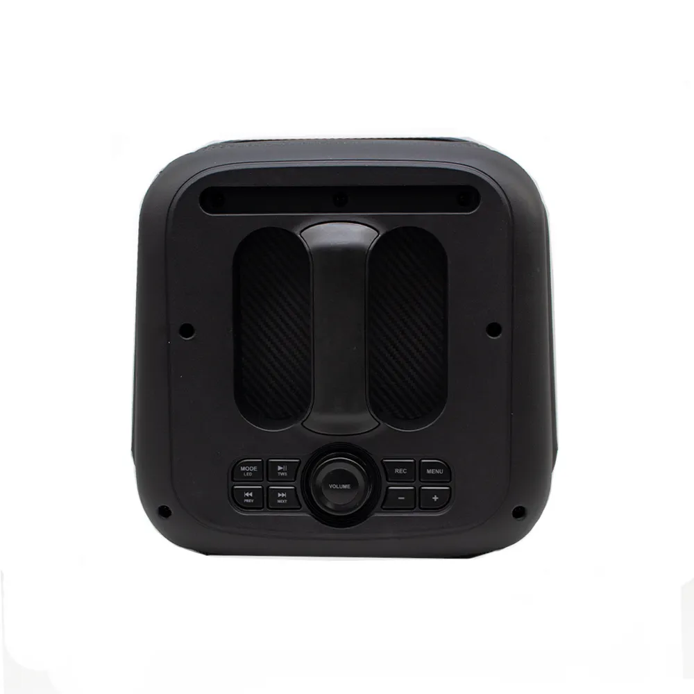 FTS 8'' Ingoma High Power Party Speaker with TWS(FTS-2108)