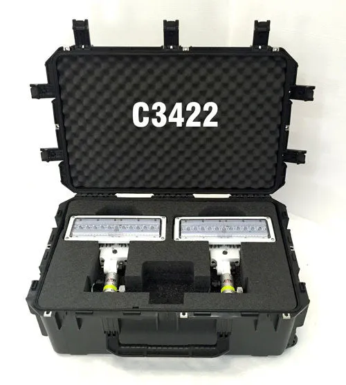 Lentry Light Model 1SPECSS-C34