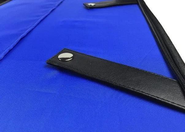 Masonic MM/WM and Provincial Full Dress Apron Past Master Cases