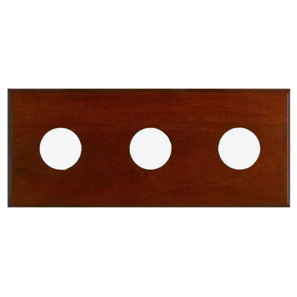 Maximum 3-Instrument Panel