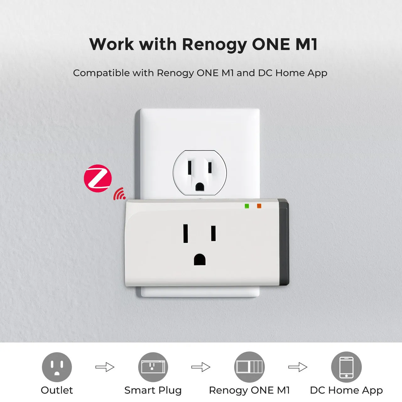 Renogy Zigbee Smart Plug US Type,without meter