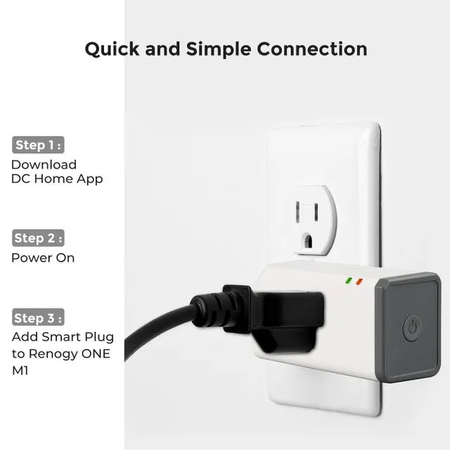 Renogy Zigbee Smart Plug US Type,without meter